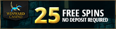 Win Ward Casino